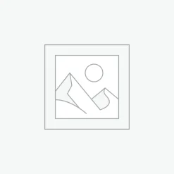 プレースホルダー